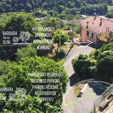 Barbara Tra Gli Ulivi * Diano Arentino