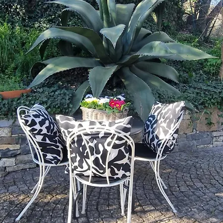 Barbara Tra Gli Ulivi Prázdninový dům