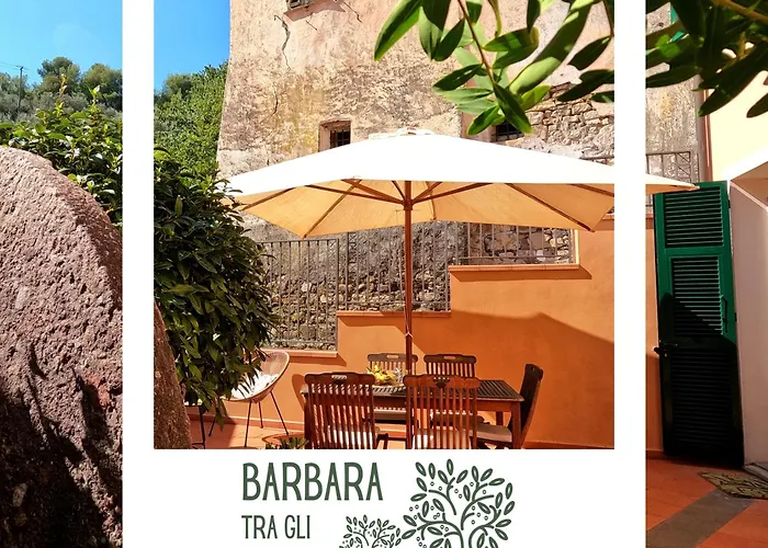 Barbara Tra Gli Ulivi בית נופש