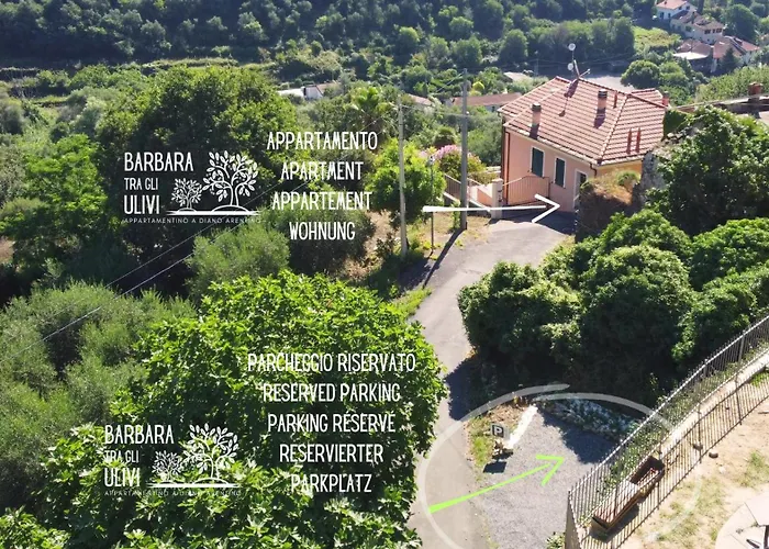 Barbara Tra Gli Ulivi * Diano Arentino