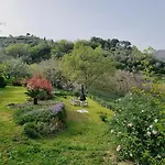 Barbara Tra Gli Ulivi * Diano Arentino