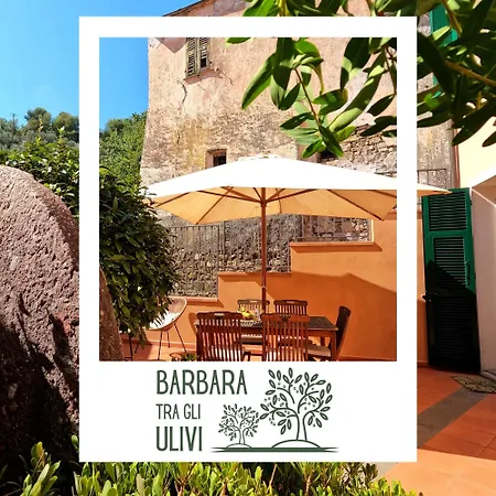 Barbara Tra Gli Ulivi Tatil Evi