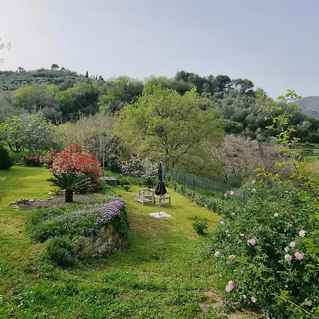 Barbara Tra Gli Ulivi * Diano Arentino