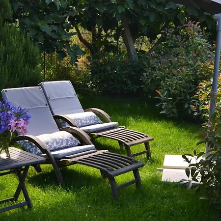 Barbara Tra Gli Ulivi *