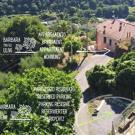 Barbara Tra Gli Ulivi * Diano Arentino