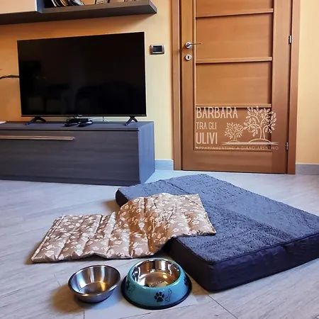 Barbara Tra Gli Ulivi Diano Arentino