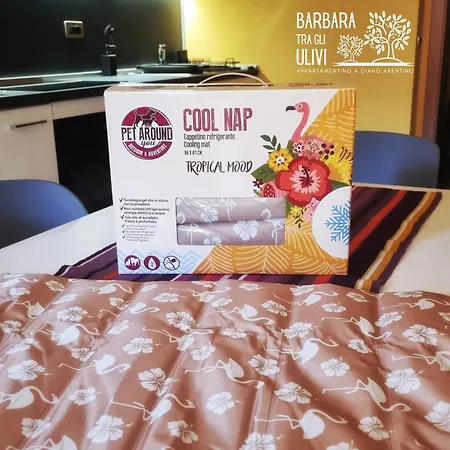 Barbara Tra Gli Ulivi 度假居 *