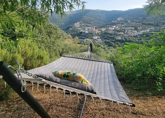 Barbara Tra Gli Ulivi Nyaraló Diano Arentino